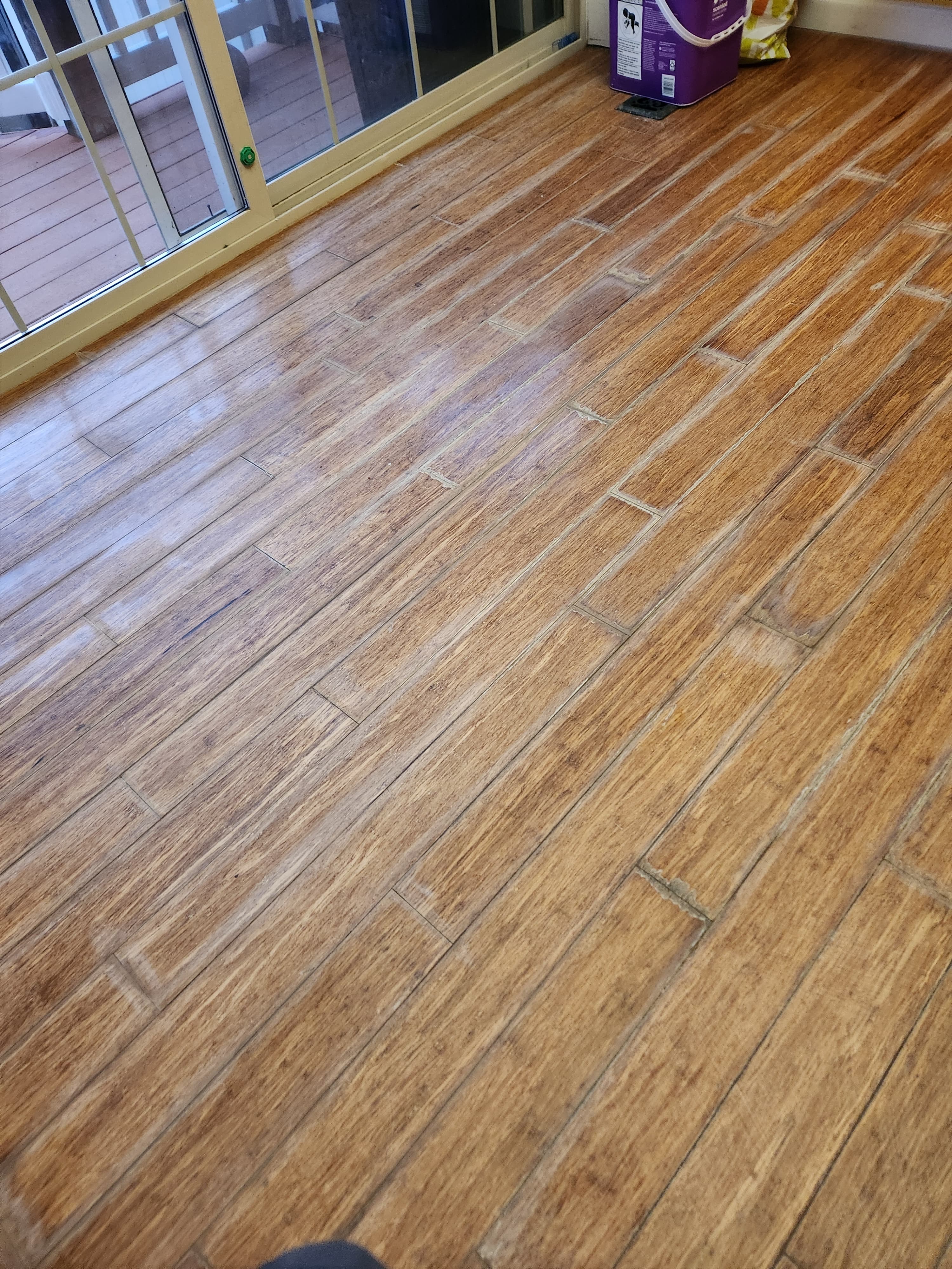 Floor Refinishing before